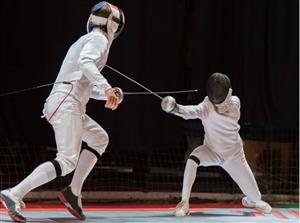 fencing