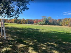 Youngs Park Field