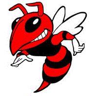 hornet